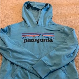 Patagonia Hoodie
